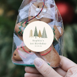 Winter verjaardagsfeestje ronde sticker