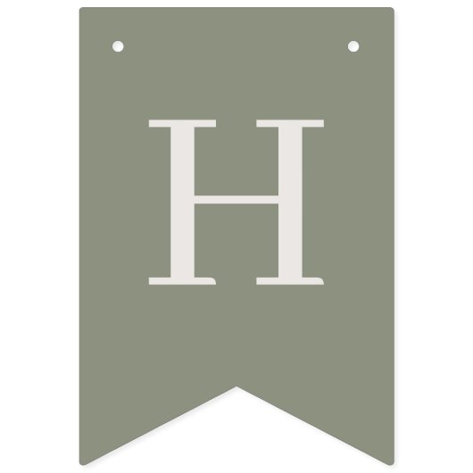 Winter verjaardagsfeestje vlaggetjes (Tweede vlag)