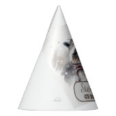 Winter Vibes Raccoon - Verjaardagsfeest Pet Feesthoedjes (Links)