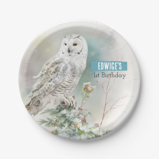 Winter vibes Uil - Verjaardagsfeest - Papieren Bordje (Voorkant)