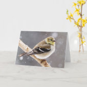 Winter Vogel Sneeuwscène - Amerikaanse goudvink Kaart (Gele Bloem)