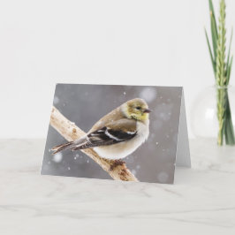 Winter Vogel Sneeuwscène - Amerikaanse goudvink Kaart