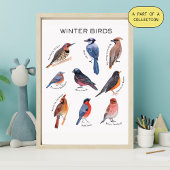 Winter Vogels Educatieve Poster