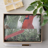 Winter Vogels Kardinaal Chickadee Nuthatch Tissuepapier (Geschenk)