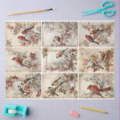 Winter Vogels negen Tissuepapier (Craft)