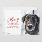 Winter Vogels - Warme Wensen Feestdagenkaart (Achterkant)