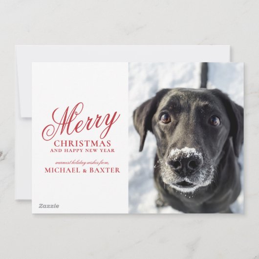 Winter Vogels - Warme Wensen Feestdagenkaart (Achterkant)