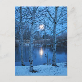 Winter Volledige maan op de Pond Briefkaart