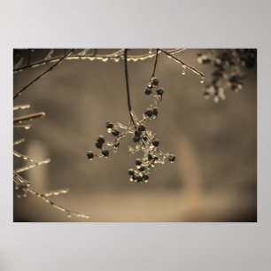Winter Vorst, Poster