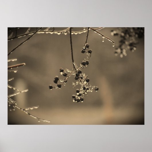 Winter Vorst, Poster (Voorkant)