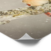 Winter Vrouw kardinaal vogel Poster (Hoek)
