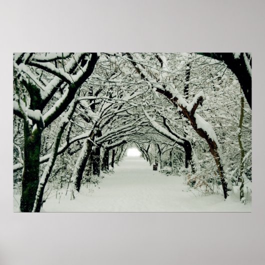 Winter Walk Poster (Voorkant)