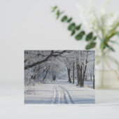 Winter Walking Trail Briefkaart (Staand voorkant)