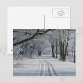 Winter Walking Trail Briefkaart (Voorkant / Achterkant)