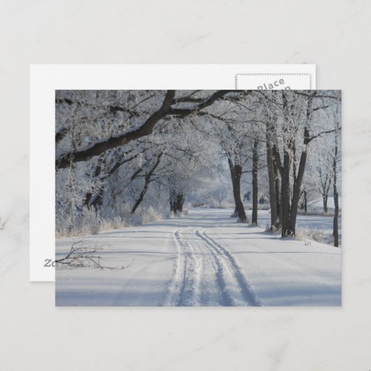 Winter Walking Trail Briefkaart (Voorkant / Achterkant)