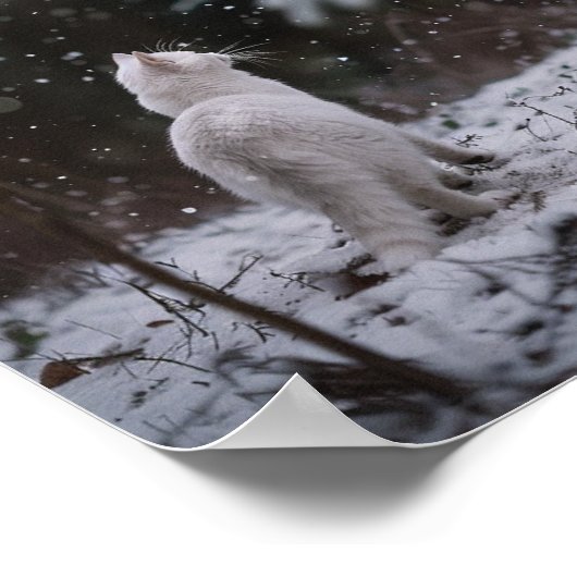 Winter Wander: Witte Kat in de Sneeuw Poster (Hoek)