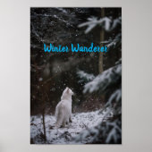 Winter Wander: Witte Kat in de Sneeuw Poster (Voorkant)