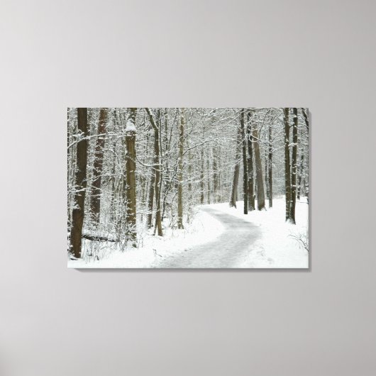 Winter Wandering Wrapped Canvas Print (Voorkant)