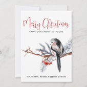 Winter Waterverf Bird Red Feestdagenkaart (Voorkant)