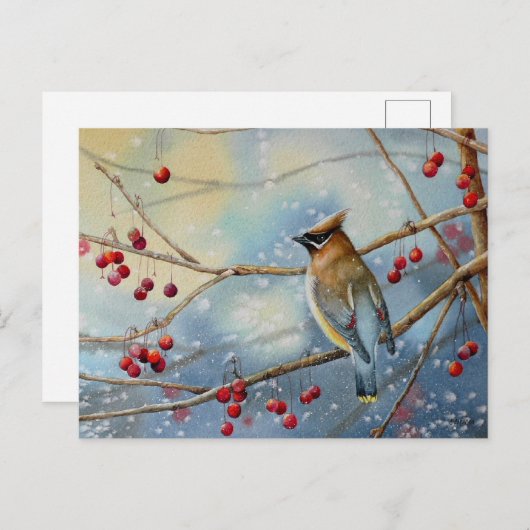 Winter Waterverf Cedar Waxing Bird & Berries Art Briefkaart (Voorkant / Achterkant)