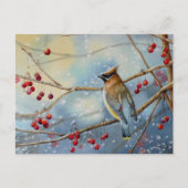 Winter Waterverf Cedar Waxing Bird & Berries Art Briefkaart (Voorkant)