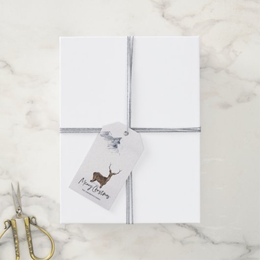 Winter Waterverf Kerstmis Cadeaulabel (Met Touw)
