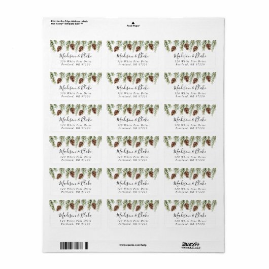 Winter Waterverf Pinecone Return Address Etiket (Full Sheet)