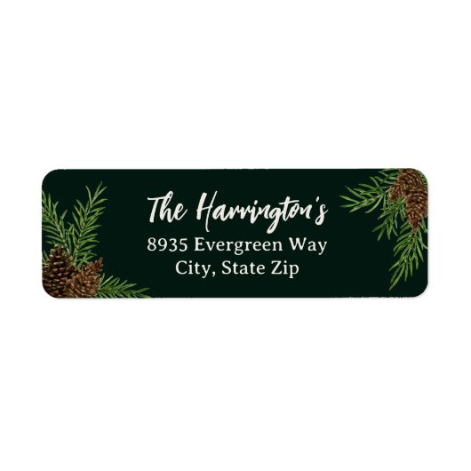 Winter Waterverf Pinecone Vakantie Retour Adres Etiket (Voorkant)