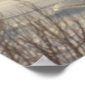 Winter Watlandschap Foto Poster (Hoek)