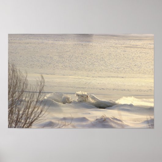 Winter Watlandschap Foto Poster (Voorkant)