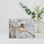 Winter Waxwing Wildlife Nature Photo Personalized Briefkaart (Staand voorkant)