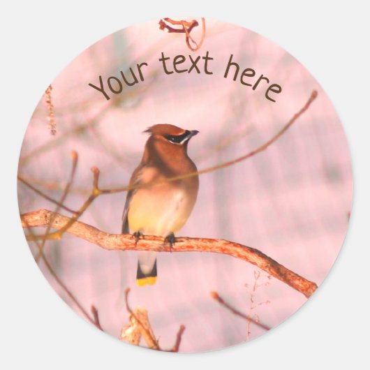Winter Waxwing Wildlife Natuur - Gepersonaliseerd Ronde Sticker (Voorkant)