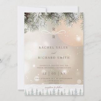 Winter Wedding Invitation Kaart