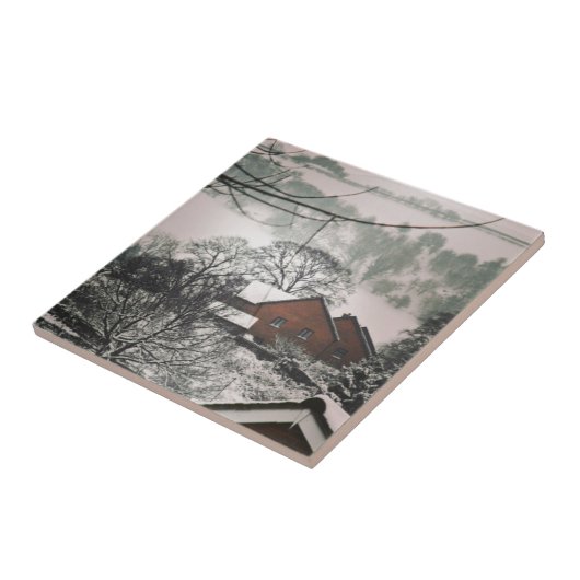 Winter Welsh Landscape Houses Trees Hills Tegeltje (Zijkant)