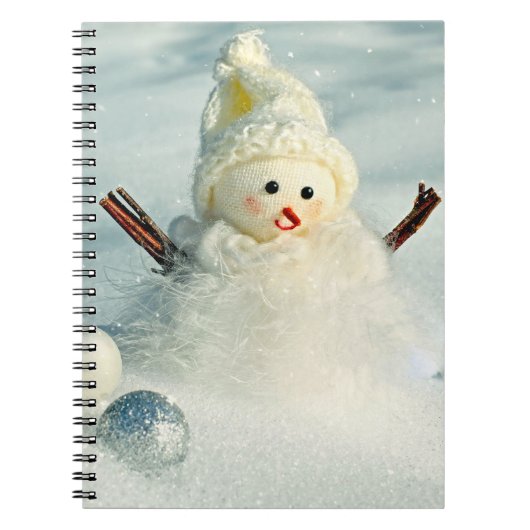Winter Whimsy Snowman Notitieboek (Voorkant)