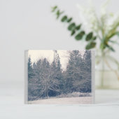 Winter White Briefkaart (Staand voorkant)