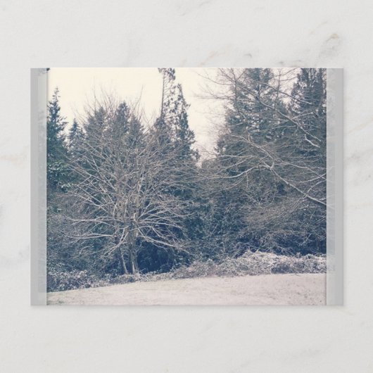 Winter White Briefkaart (Voorkant)