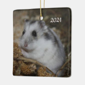 Winter White Dwarf Hamster Pet Keramisch Ornament (Links)