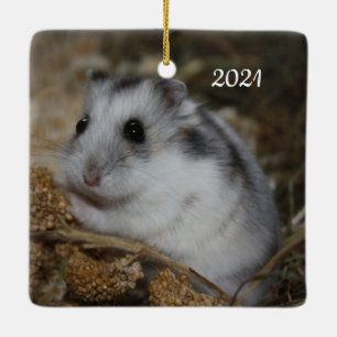 Winter White Dwarf Hamster Pet Keramisch Ornament