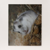 Winter White Dwarf Hamster Pet Legpuzzel (Verticaal)