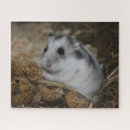Winter White Dwarf Hamster Pet Legpuzzel