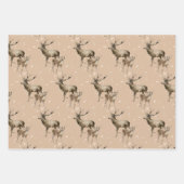 Winter White en Kraft Holiday Beoordeling van Inpakpapier Vel (Voorkant)