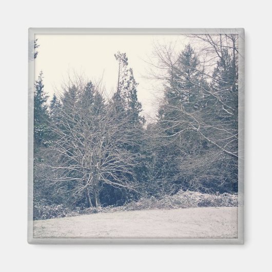 Winter White Magneet (Voorkant)