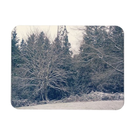 Winter White Magneet (Horizontaal)