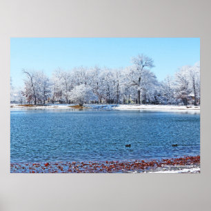 "WINTER WHITE" OLANDER PARK EN MEER/MET SNEEUW BED POSTER