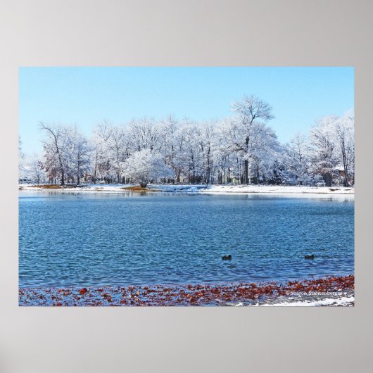 "WINTER WHITE" OLANDER PARK EN MEER/MET SNEEUW BED POSTER (Voorkant)