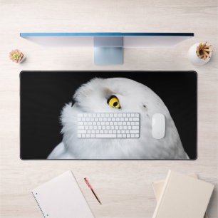 Winter White Snowy Owl Bureaumat