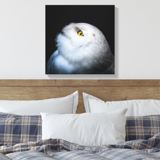 Winter White Snowy Owl Canvas Afdruk (Insitu (Slaapkamer))