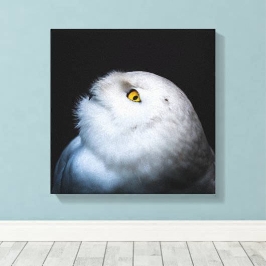 Winter White Snowy Owl Canvas Afdruk (Insitu (Houten vloer))