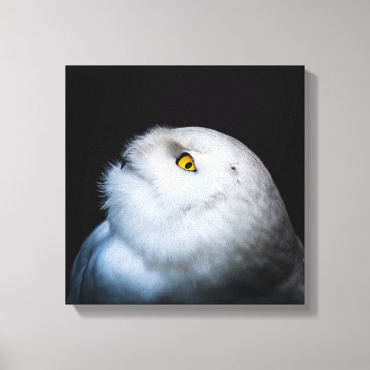 Winter White Snowy Owl Canvas Afdruk (Voorkant)
